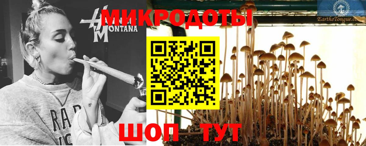 Кимры  Галлюциногенные грибы Magic Shrooms  Псилоцибиновые грибы Psilocybe  Вход с VPN 