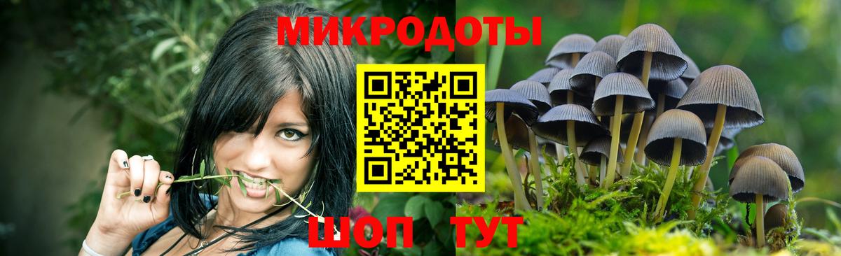 Галлюциногенные грибы ЛСД Кимры